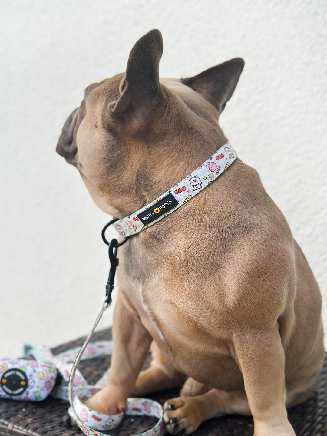 Comfort Collar - Boba Buddies🧋