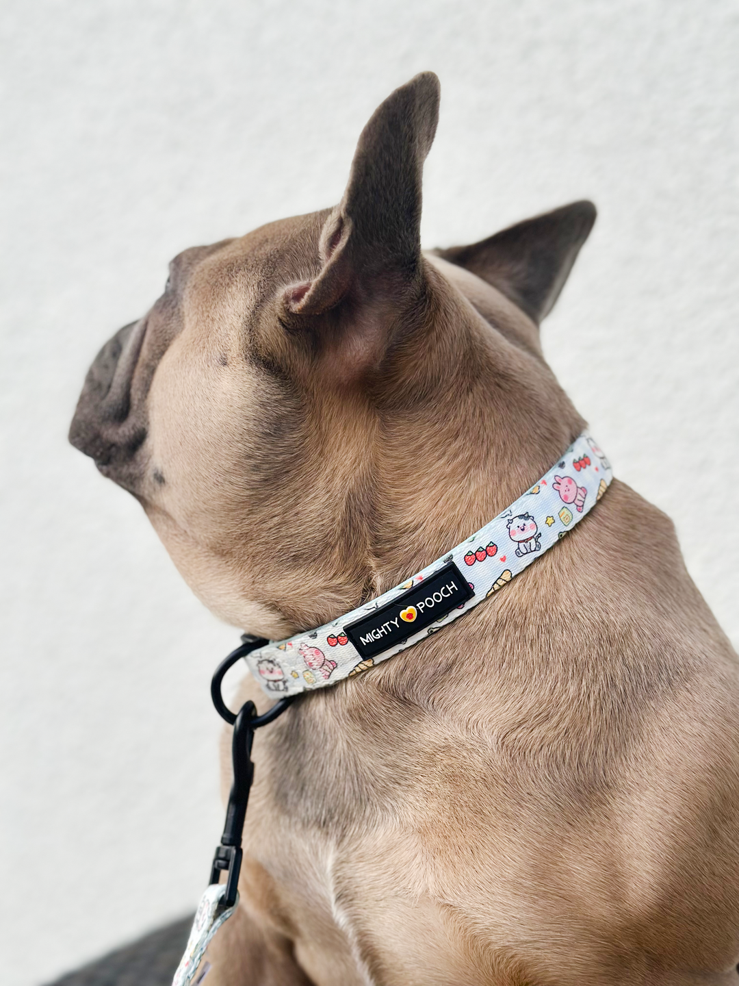 Comfort Collar - Boba Buddies🧋