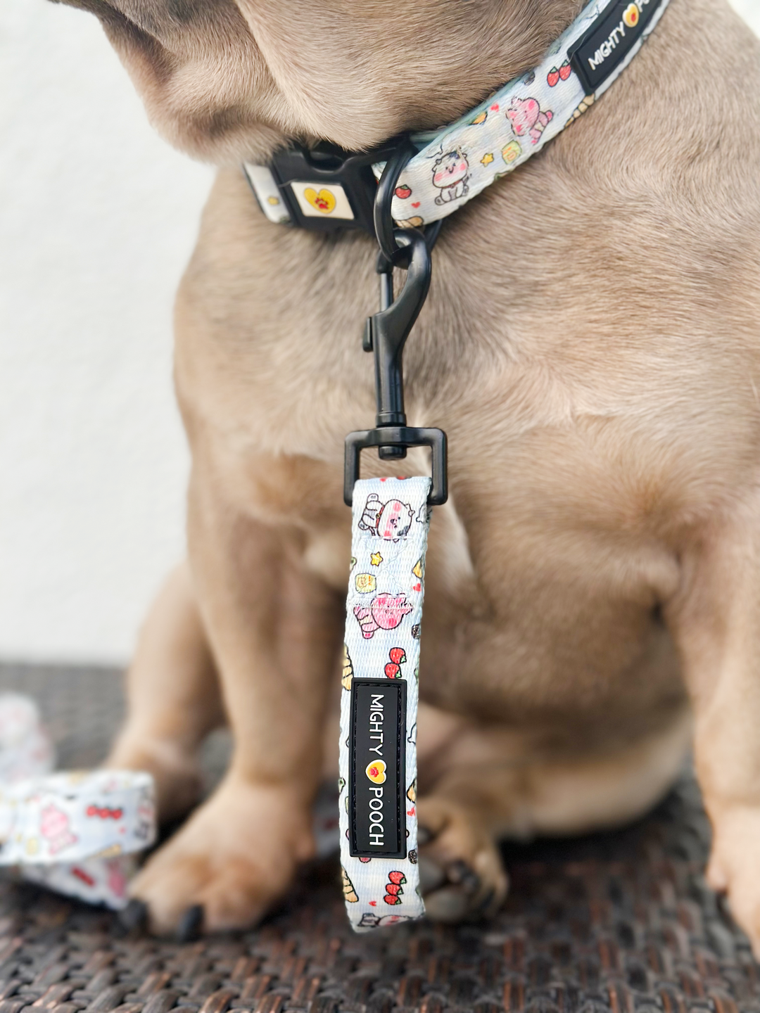 Comfort Leash - Boba Buddies🧋