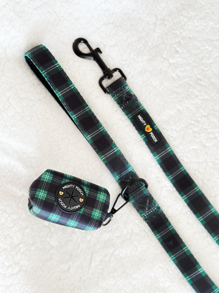 Potty Bag Dispenser - Pawfect Plaid 💚