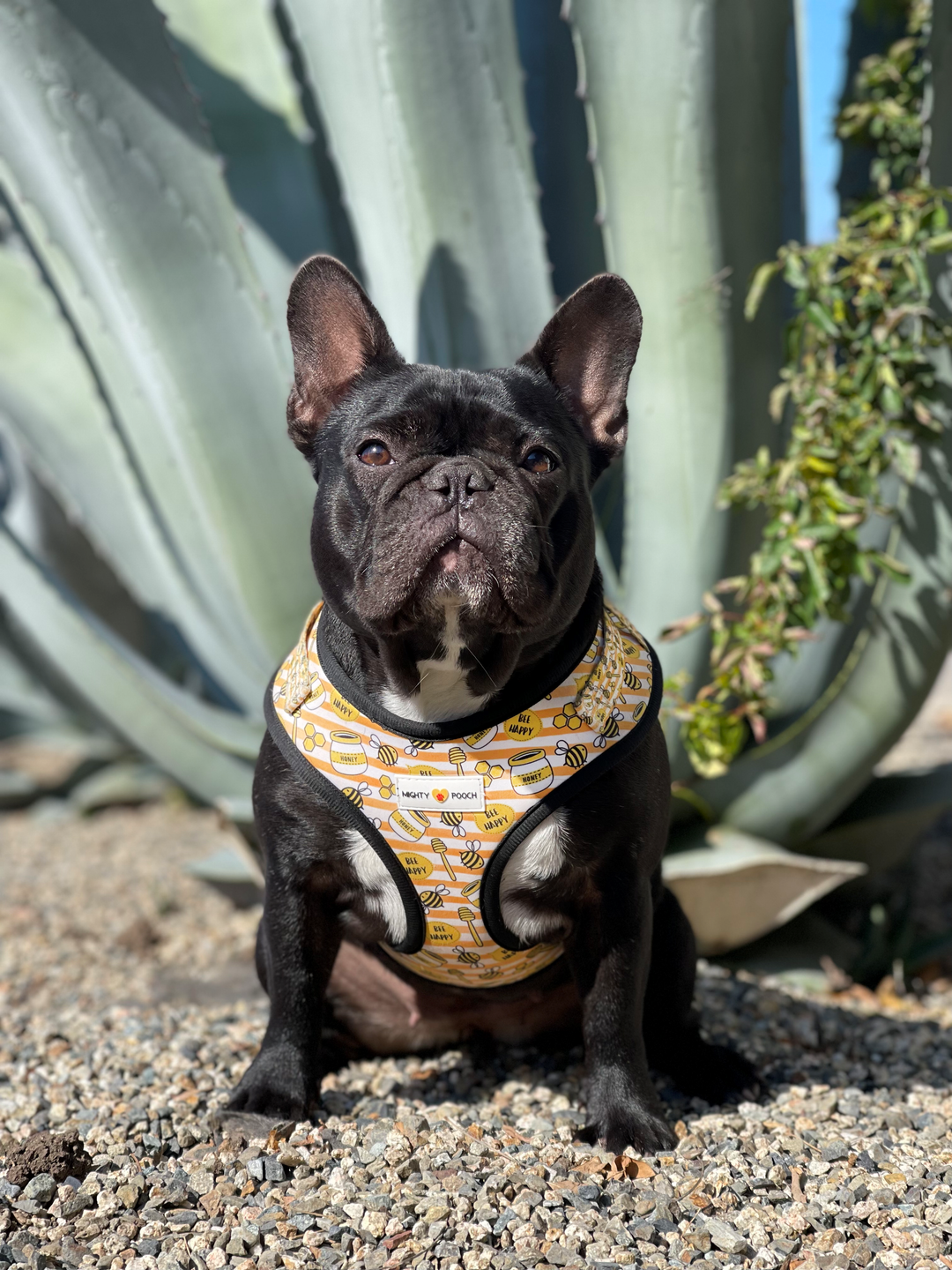 Adjustable Harness - Honey Bee 🐝