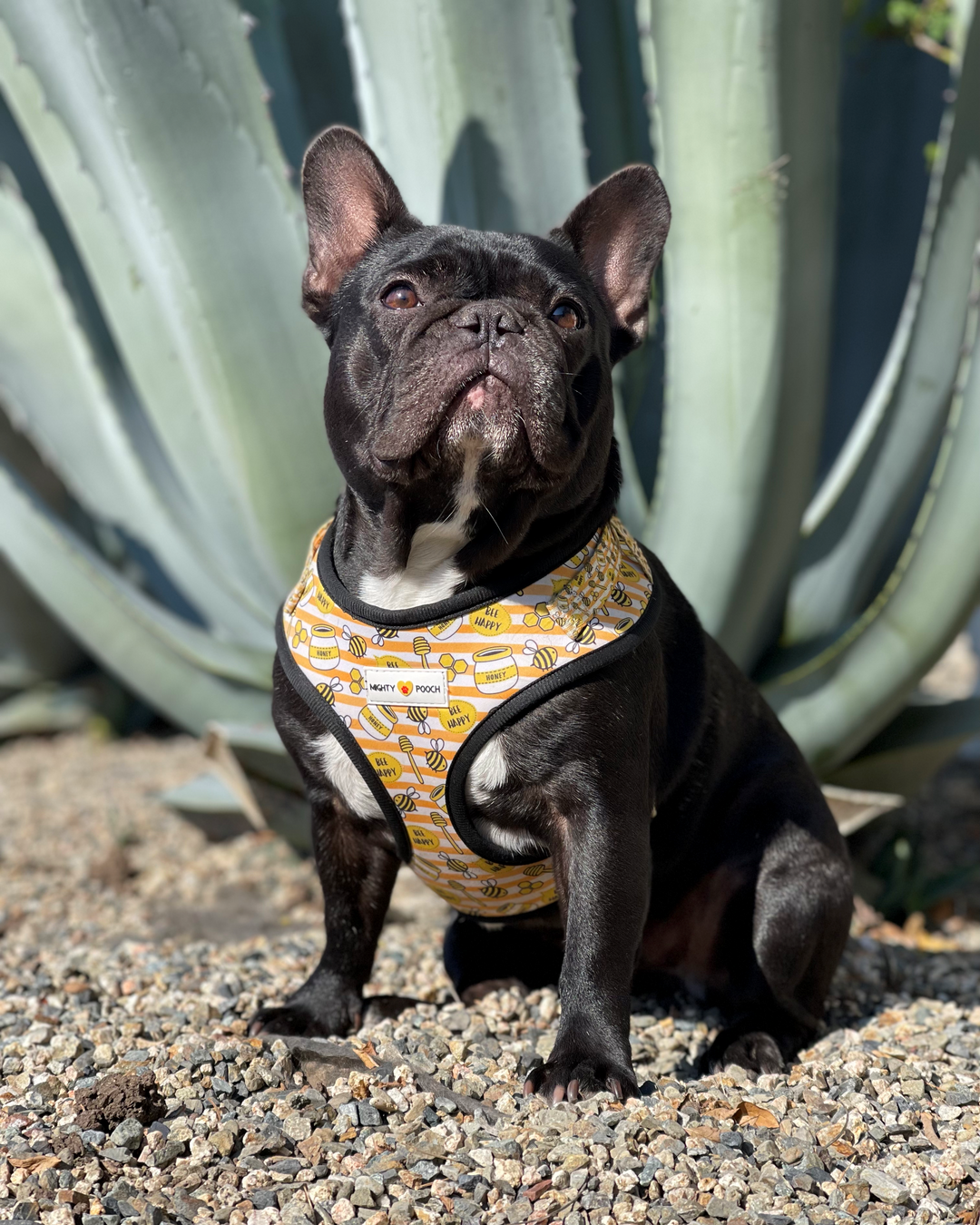 Adjustable Harness - Honey Bee 🐝