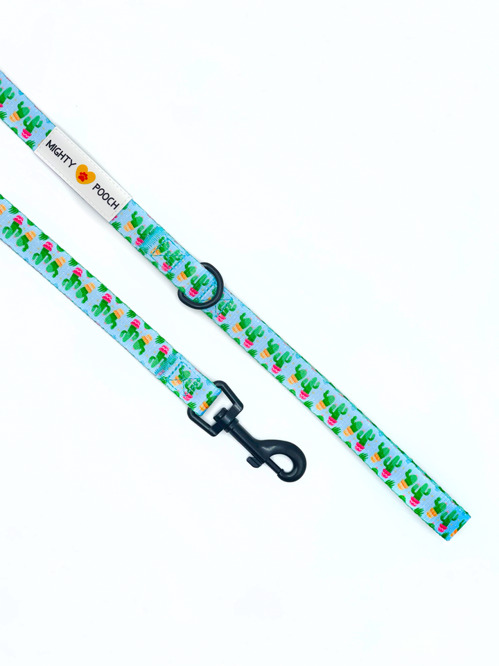 Comfort Leash - Cactus 🌵