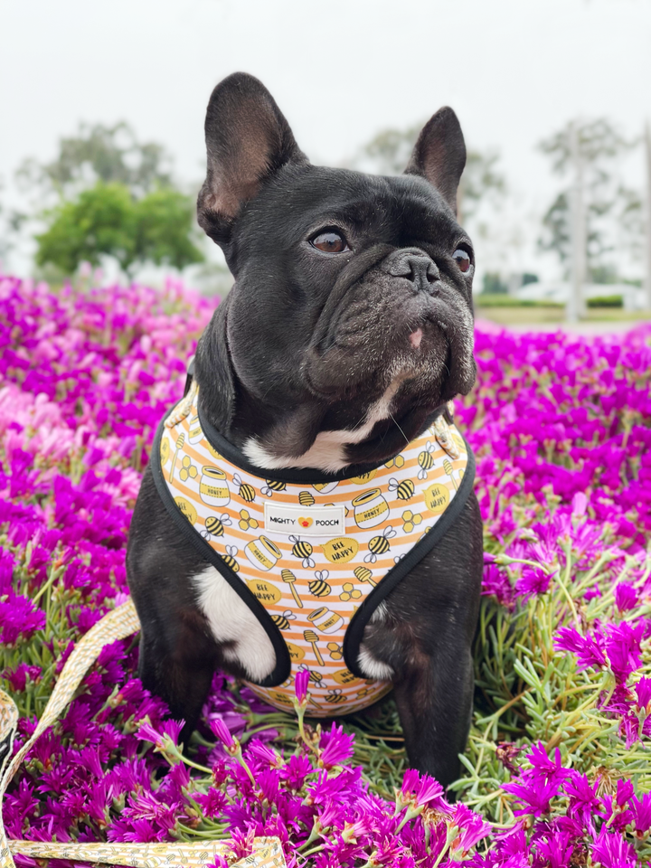 Adjustable Harness - Honey Bee 🐝