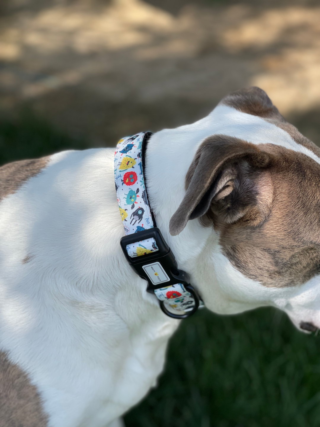 Comfort Collar - Monsters 👹