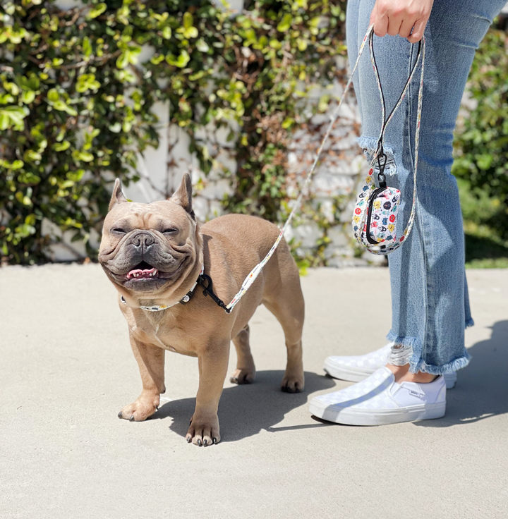 Comfort Leash - Monsters 👹