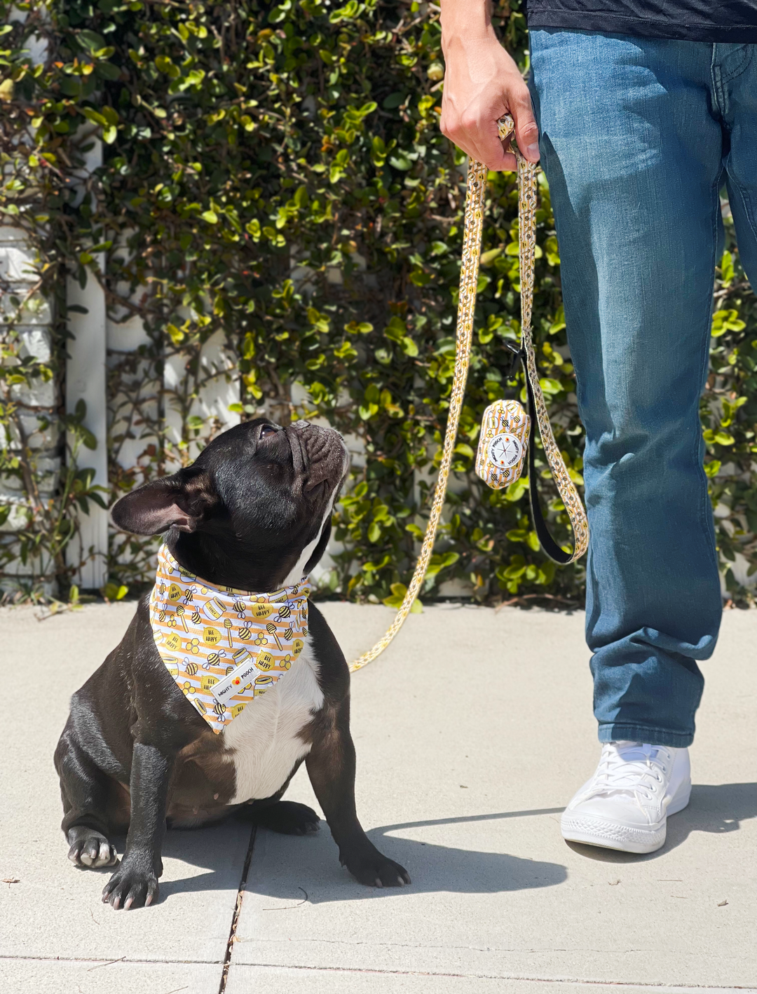 Comfort Leash - Honey Bee 🐝