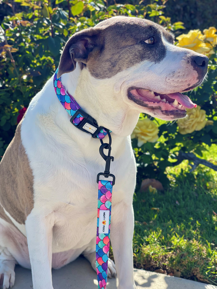 Comfort Leash - Fish Scale 🐟