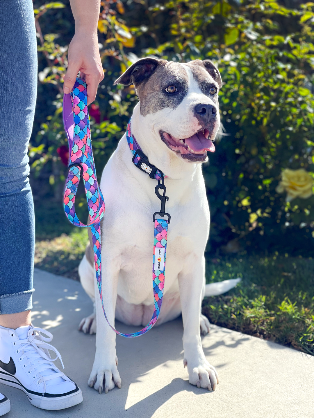 Comfort Leash - Fish Scale 🐟