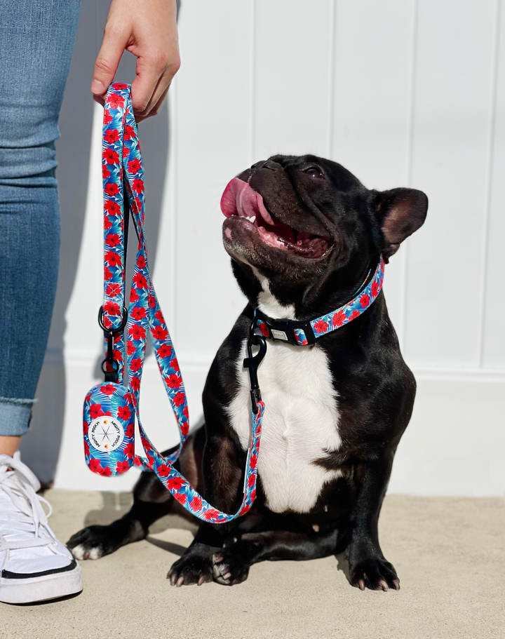 Comfort Leash - Hibiscus Palms 🌺