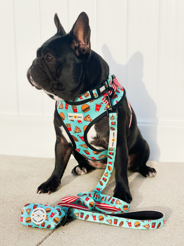 Comfort Leash - Cheat Meal 🍔