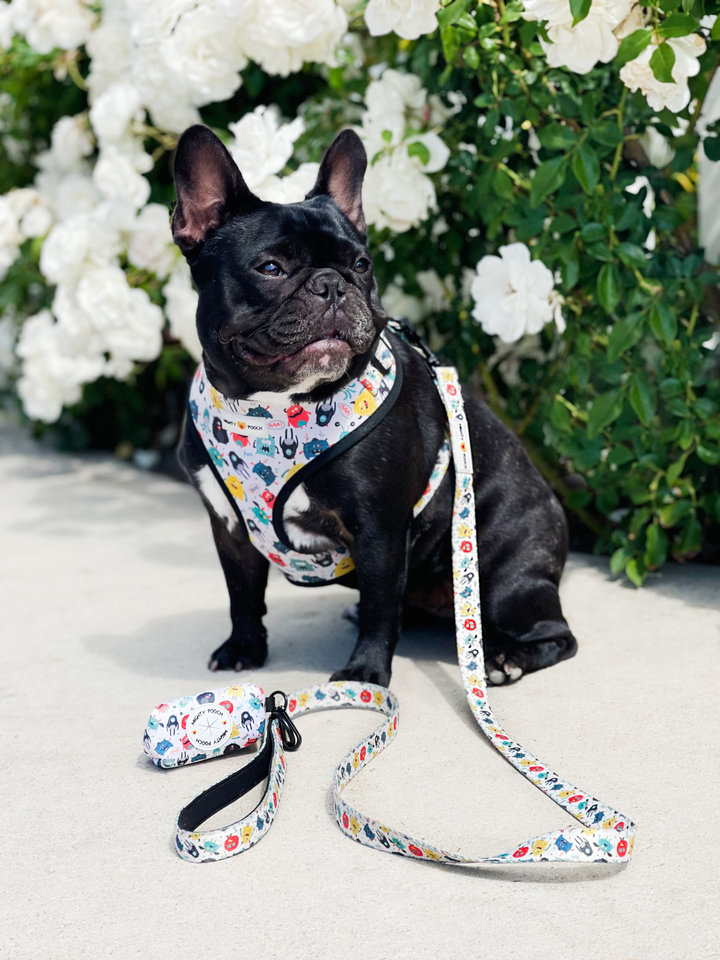 Comfort Leash - Monsters 👹