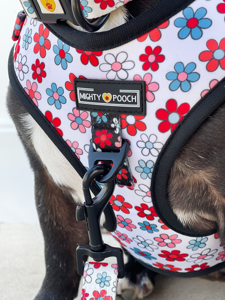 No-Pull Adjustable Harness - Dayzie 🌼