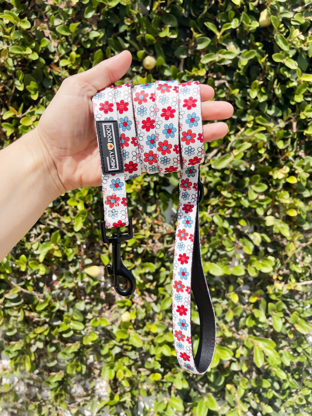 Comfort Leash - Dayzie 🌼