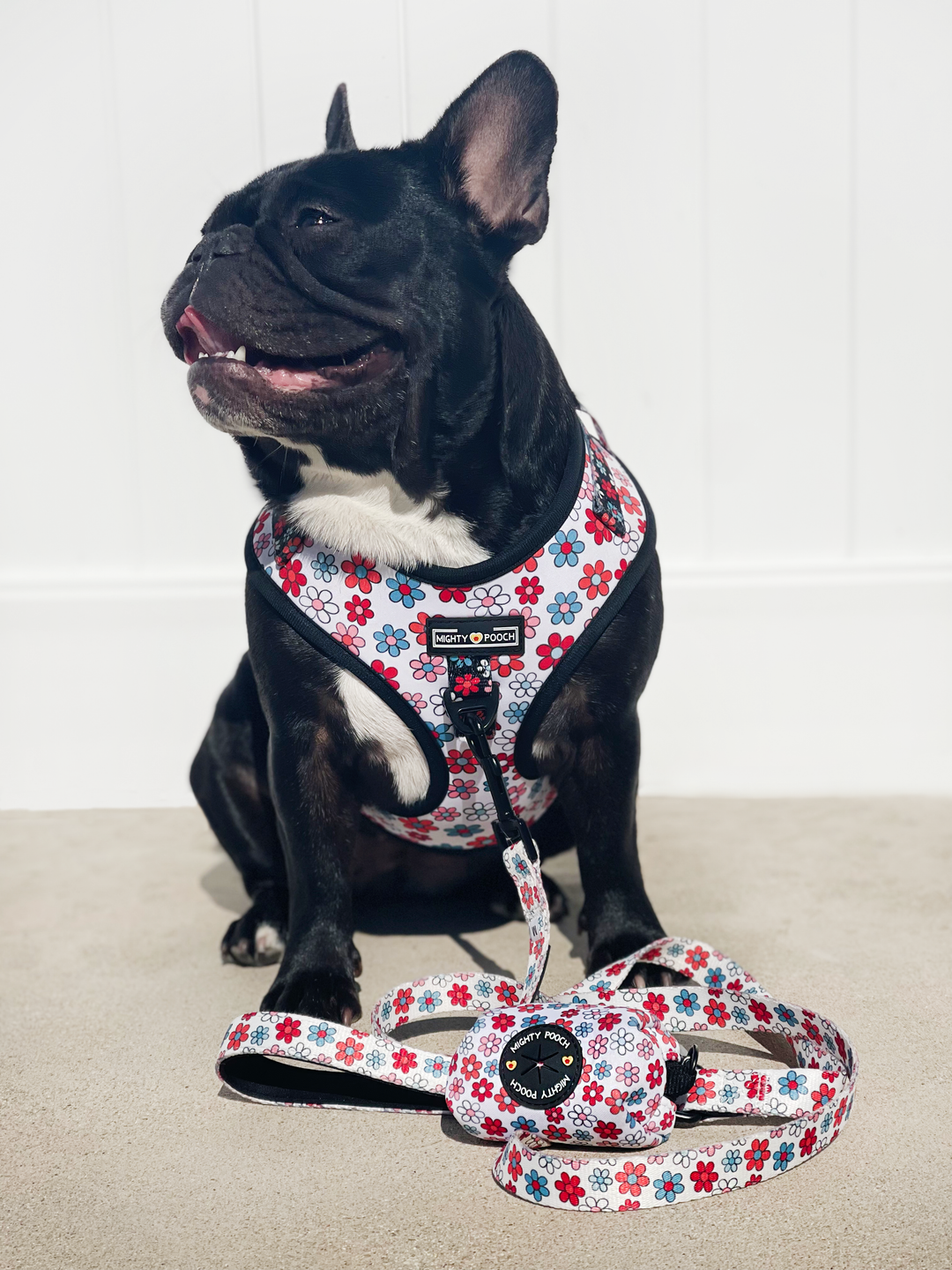 No-Pull Adjustable Harness - Dayzie 🌼