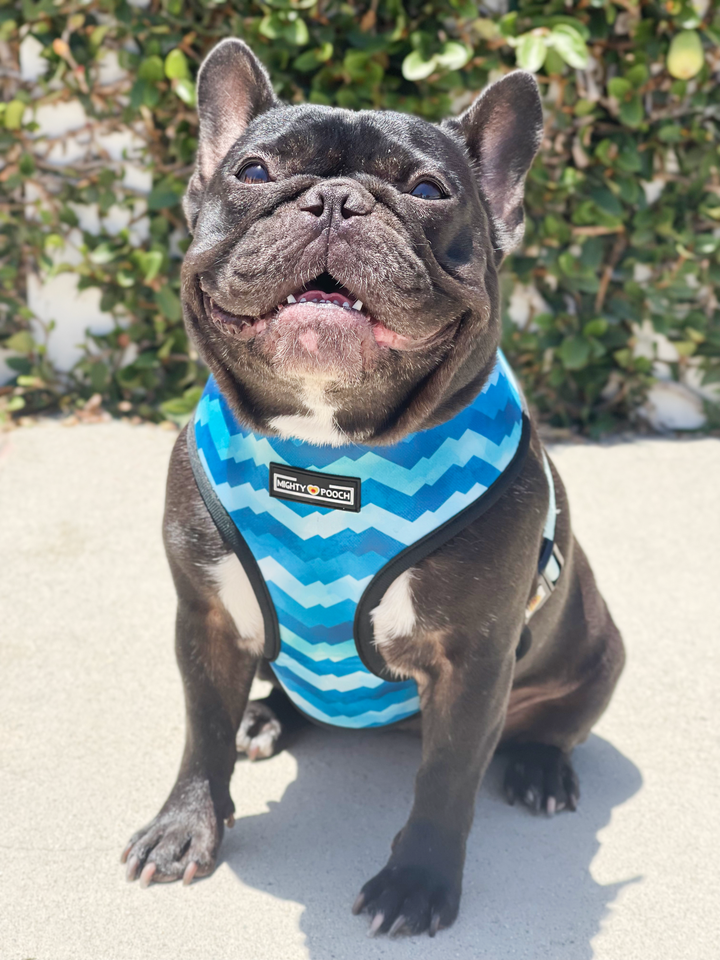 Reversible Harness - Under the Sea 🦀