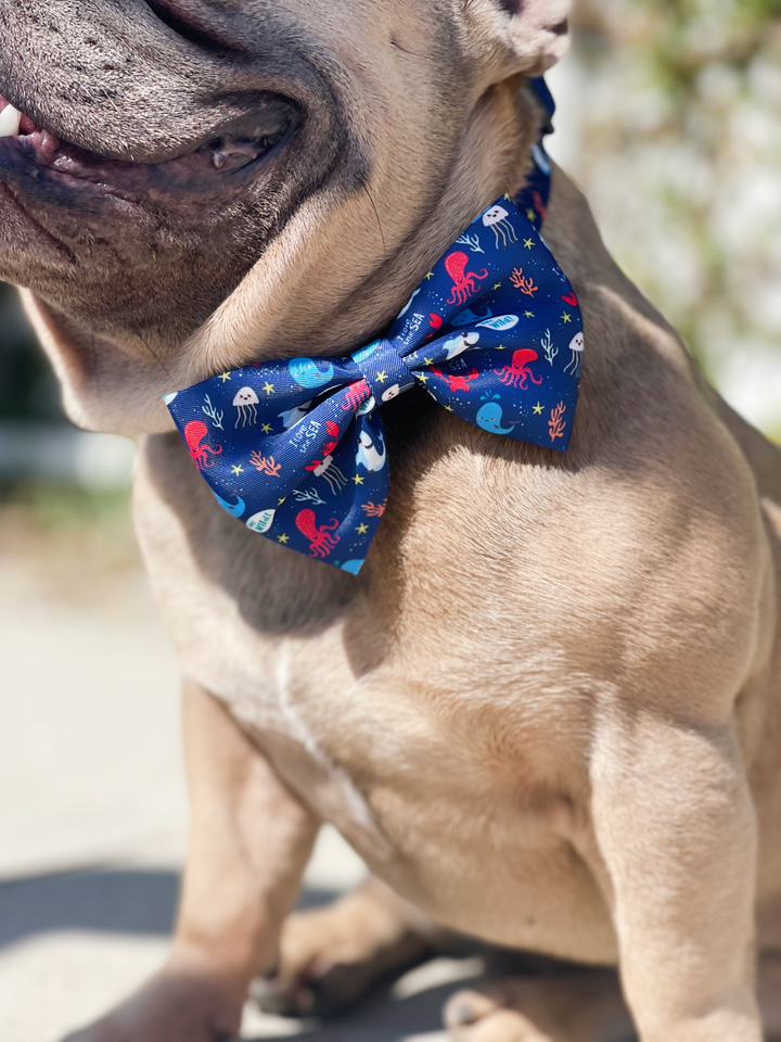 Bow Tie - Under the Sea 🦀