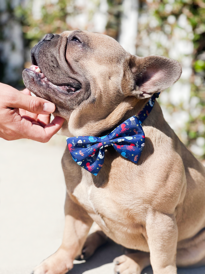 Bow Tie - Under the Sea 🦀