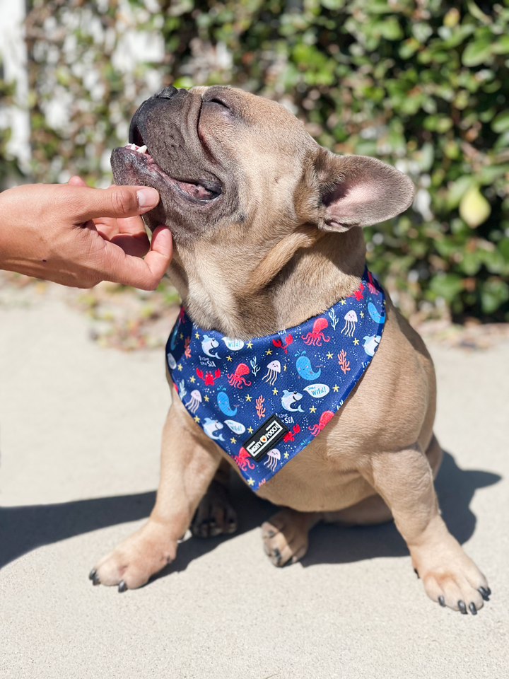 Cooling Bandana - Under the Sea 🦀
