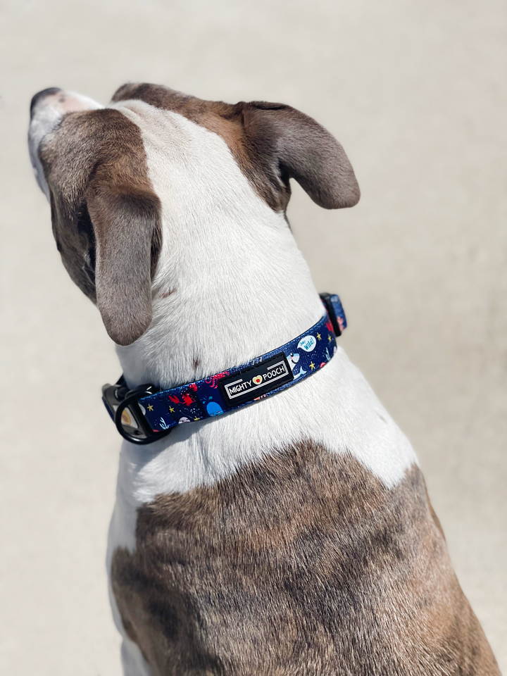 Comfort Collar - Under the Sea 🦀