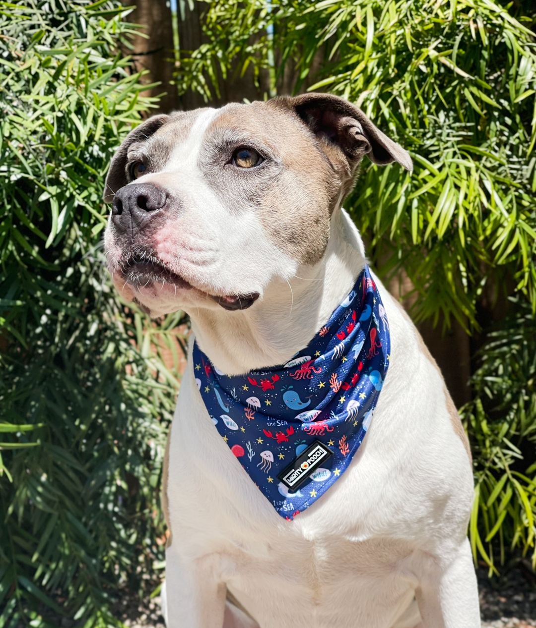 Cooling Bandana - Under the Sea 🦀