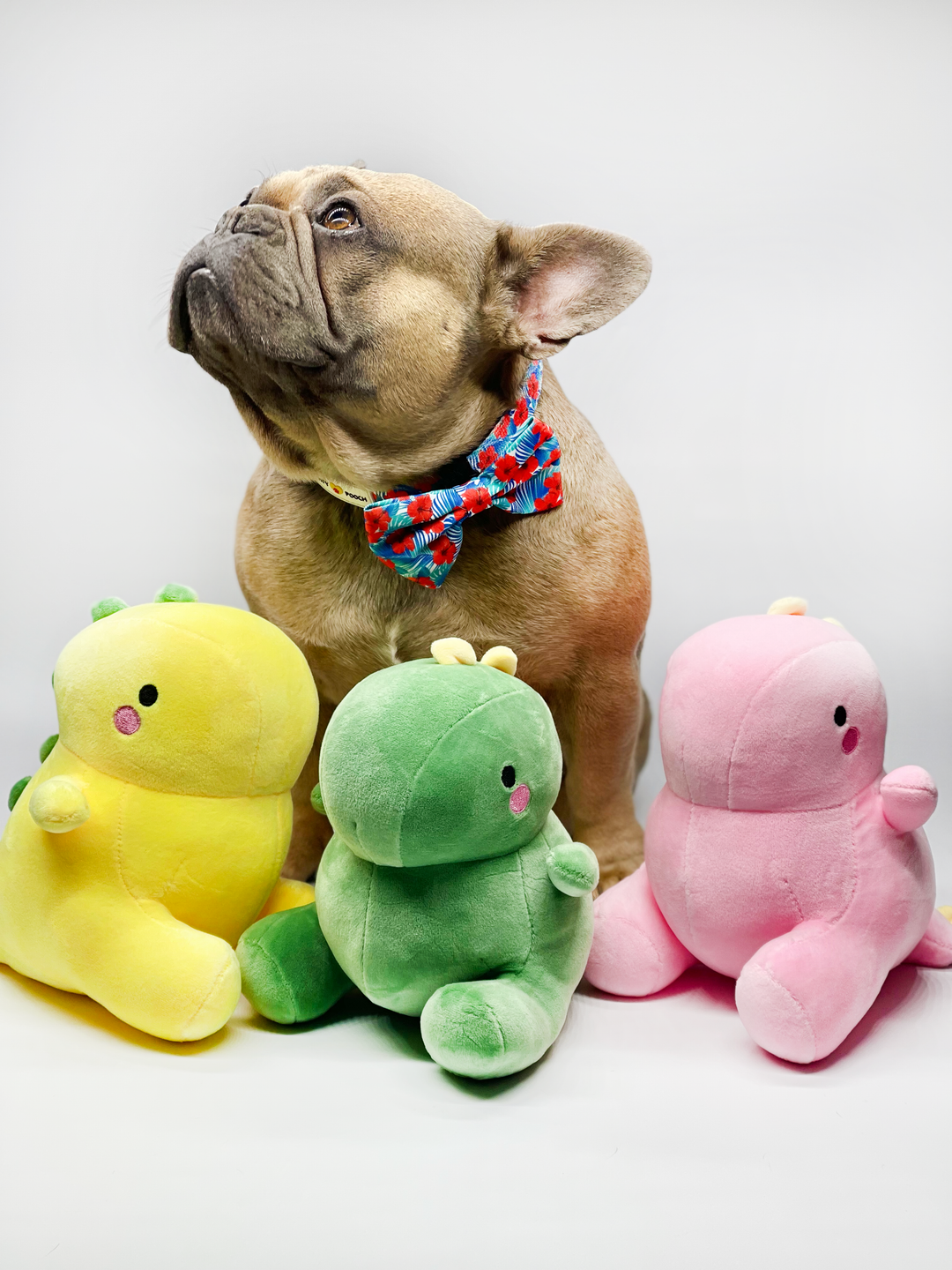 Dino Plushie Toy