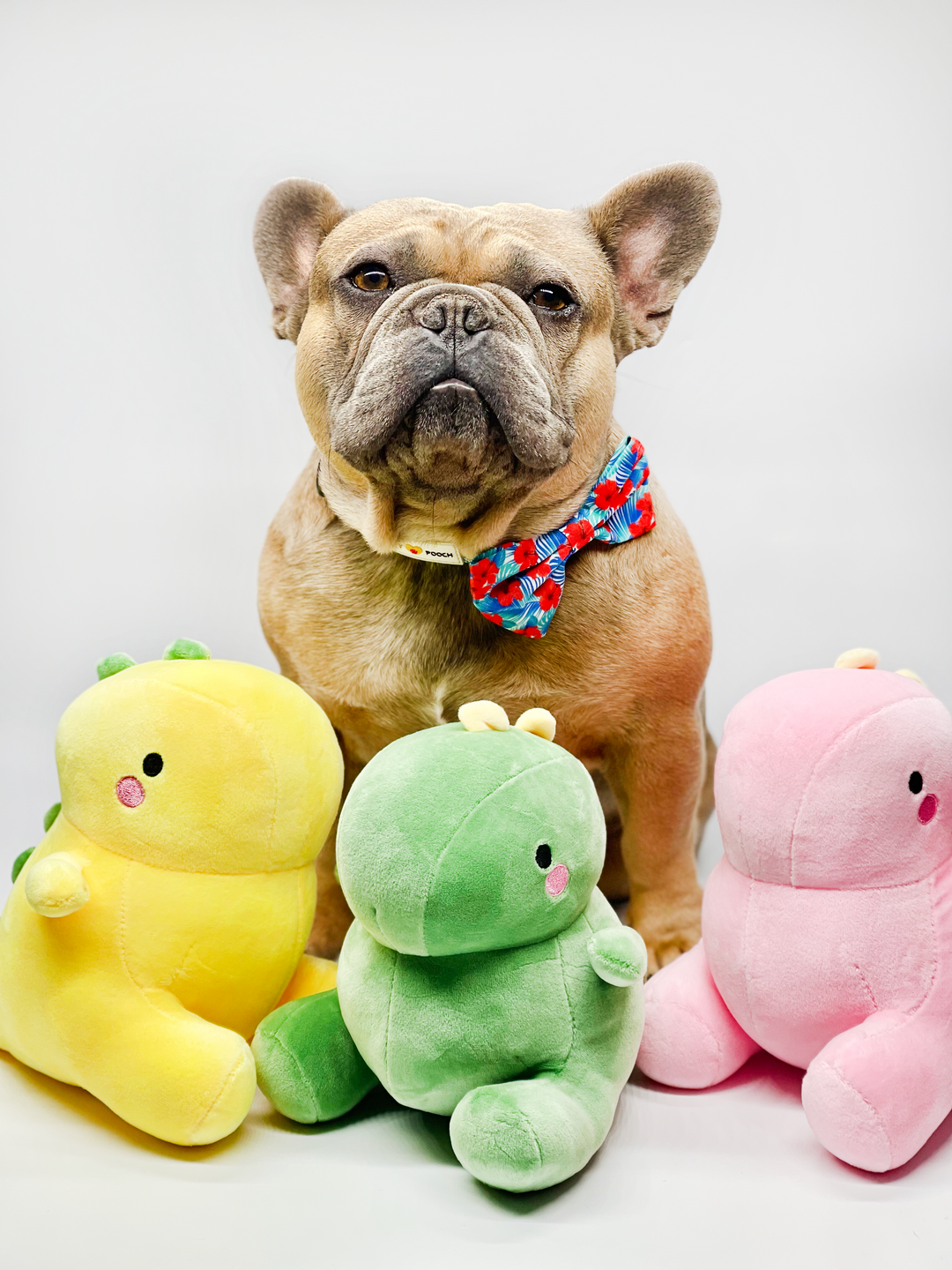 Dino Plushie Toy