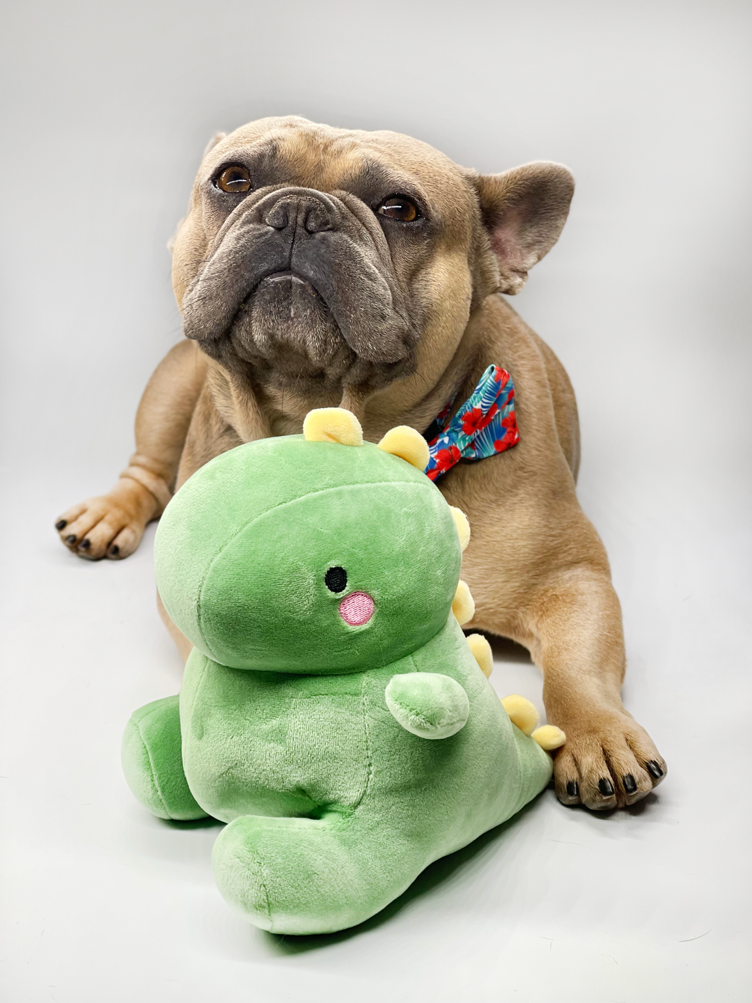 Dino Plushie Toy
