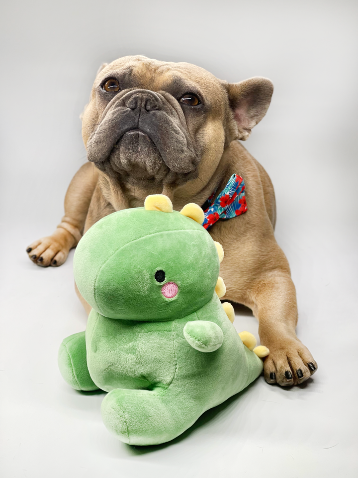 Dino Plushie Toy