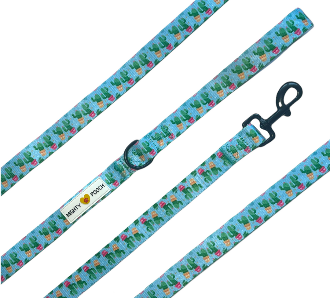Comfort Leash - Cactus 🌵