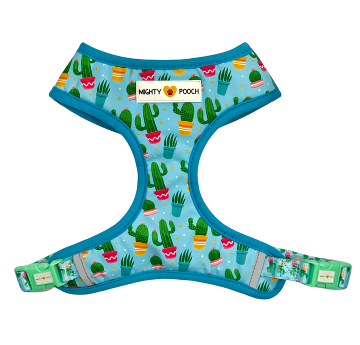 Reversible Harness - Cactus 🌵