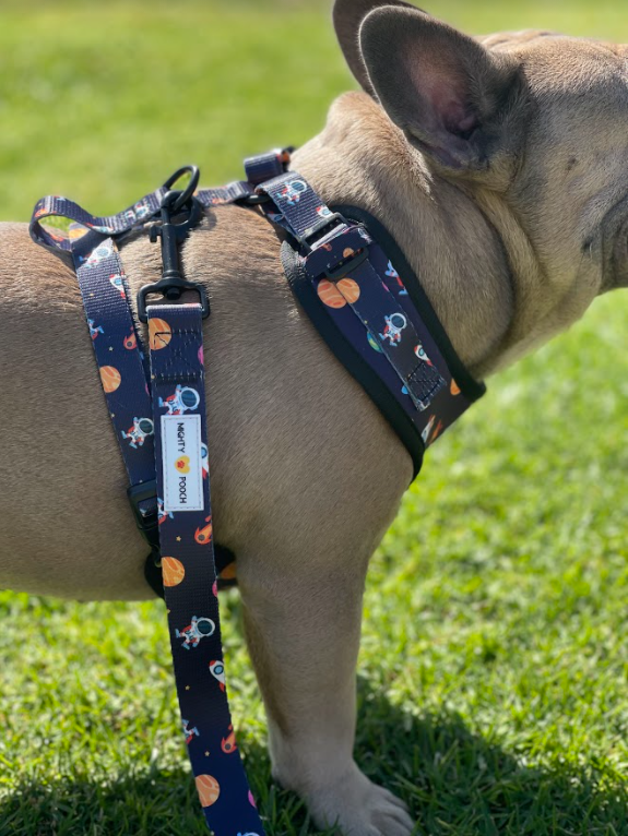 Comfort Leash - Space Jam 🚀