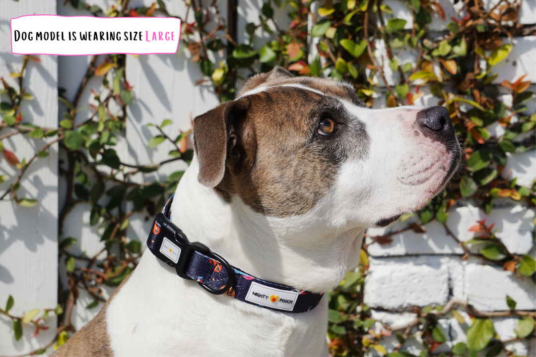 Comfort Collar - Space Jam 🚀