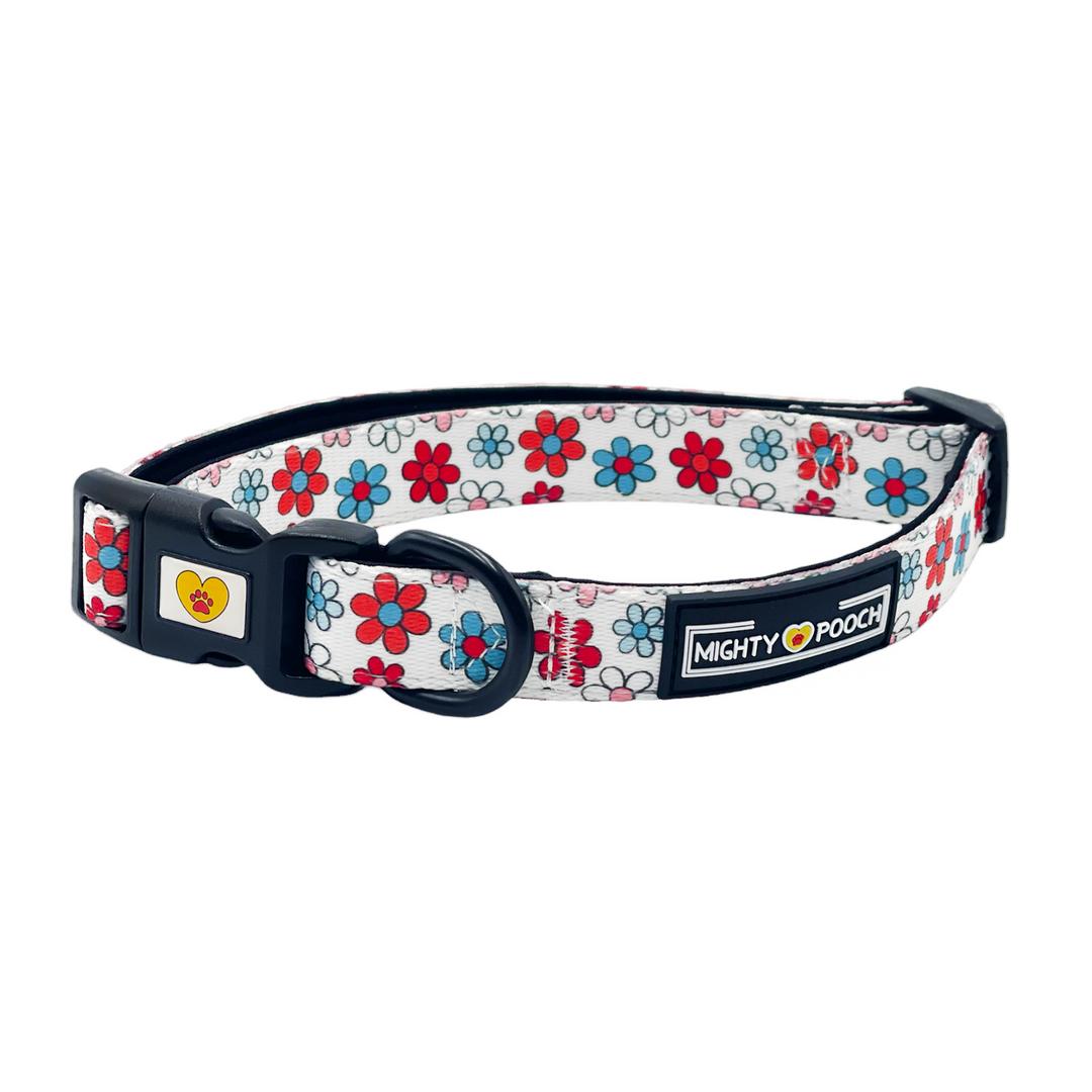 Comfort Collar - Dayzie 🌼
