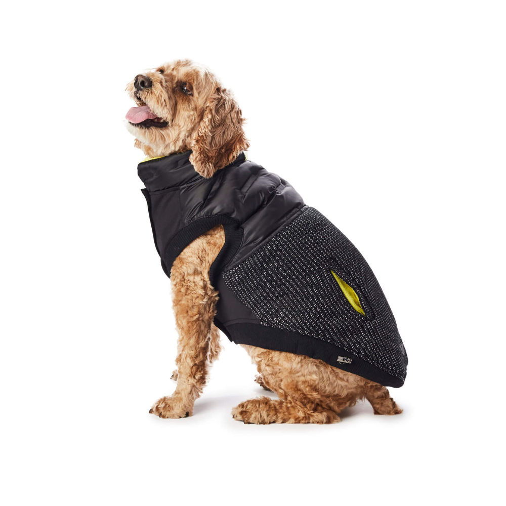 Hotel Doggy x Mighty Pooch - Adventure Wear - Hybrid Vest