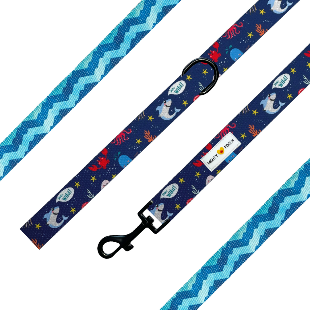 Comfort Leash - Under the Sea 🦀