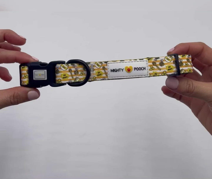 Comfort Collar - Honey Bee 🐝