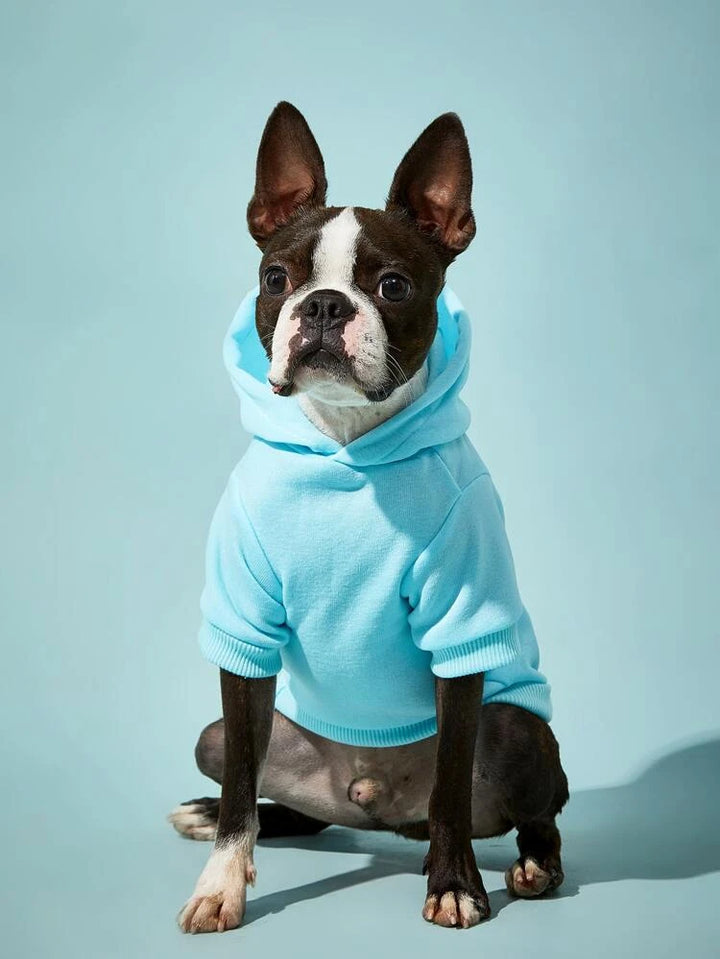 Solid Colored Hoodie