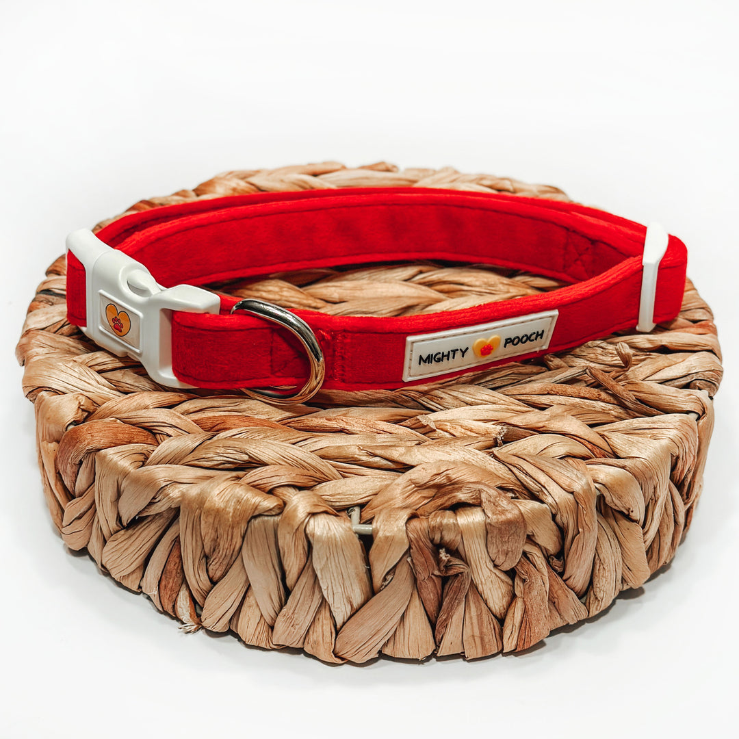 Velvet Comfort Collar - Ruby Red 💘