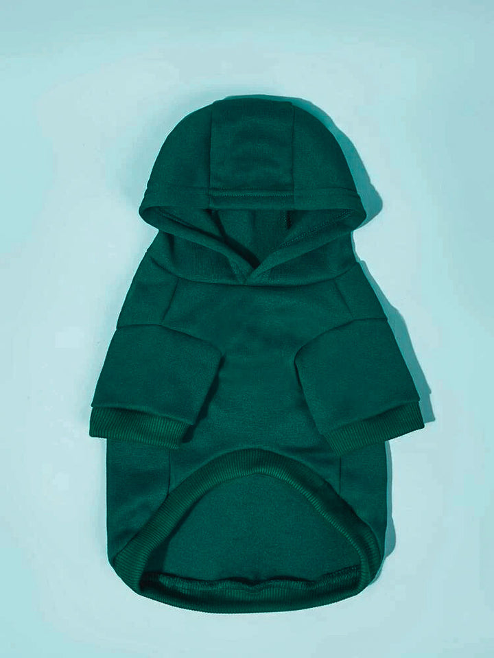 Solid Colored Hoodie