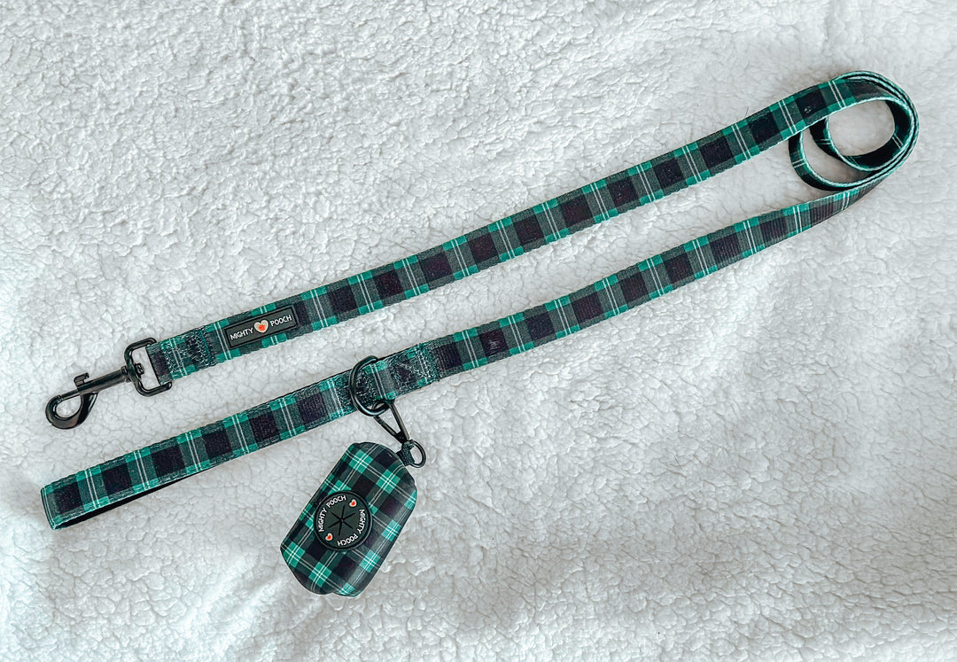 Comfort Leash - Pawfect Plaid 💚