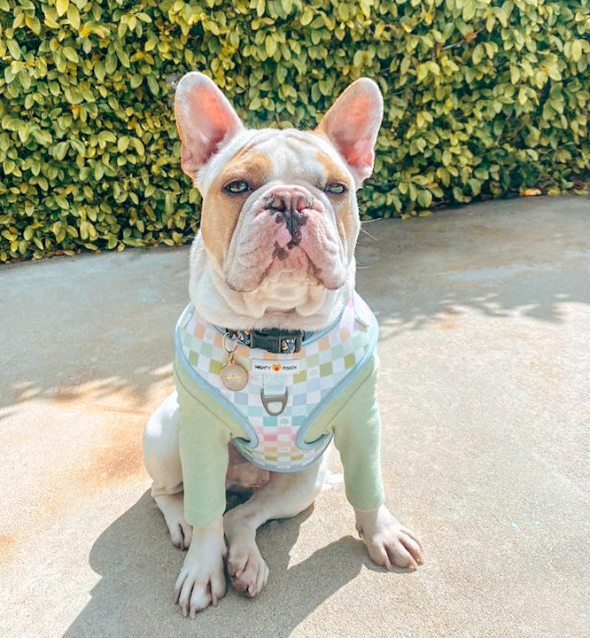 No-Pull Adjustable Harness - Pastel Plaid 🐣