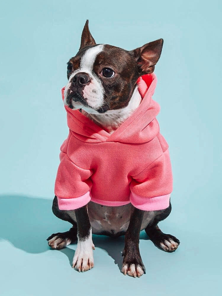 Solid Colored Hoodie