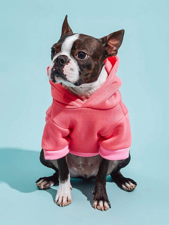 Solid Colored Hoodie