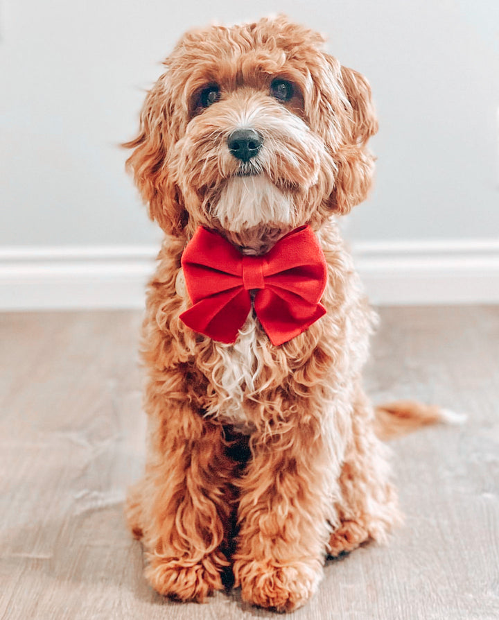 Velvet Sailor Bow - Ruby Red