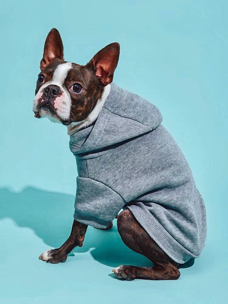 Solid Colored Hoodie