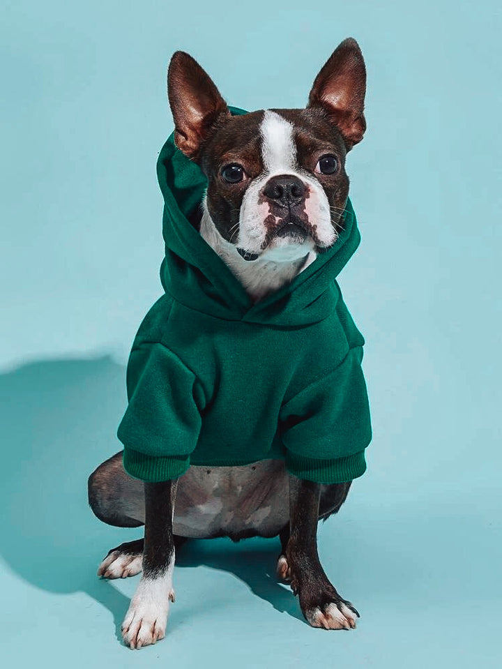 Solid Colored Hoodie