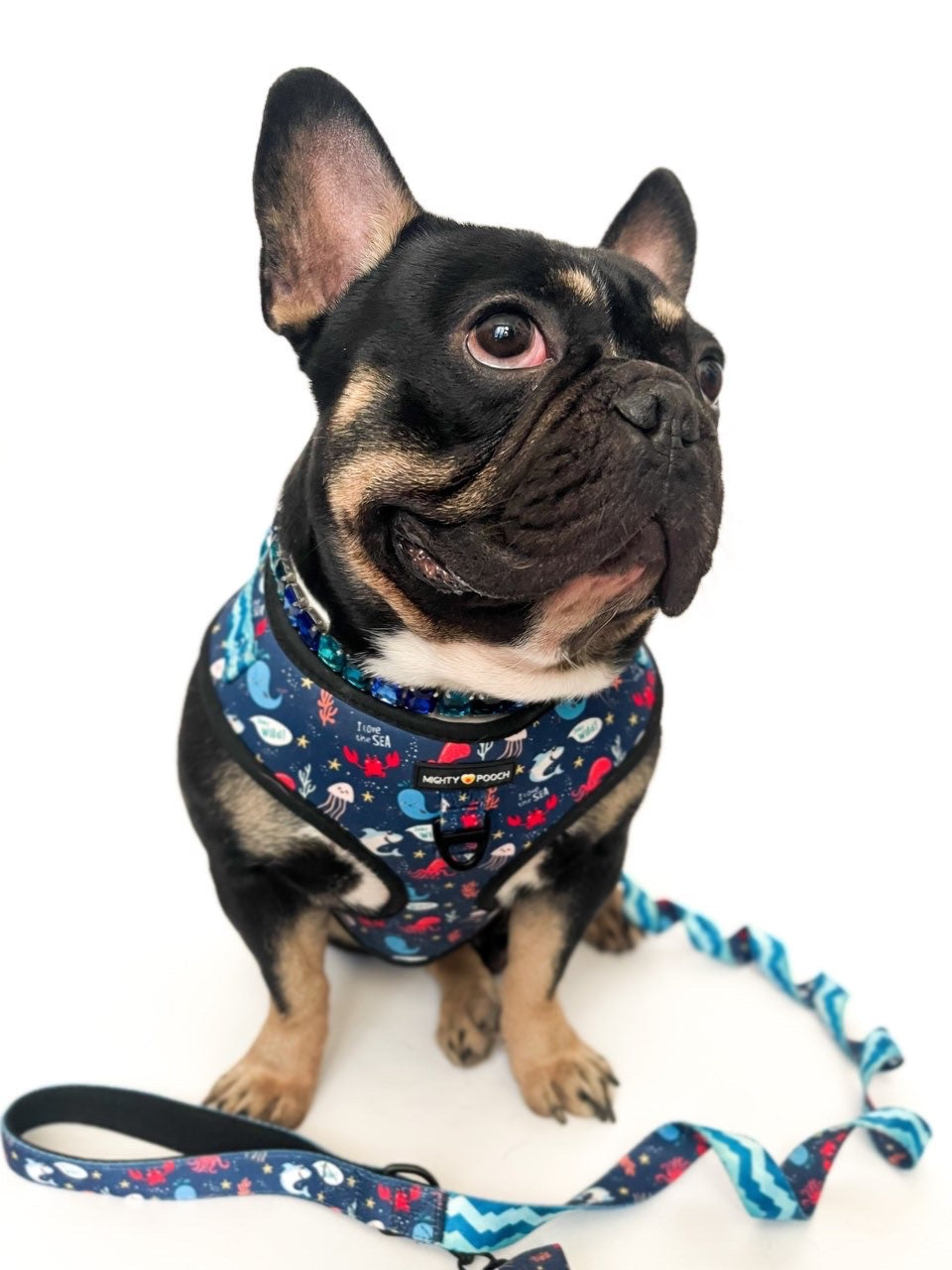 No-Pull Adjustable Harness - Under the Sea 🦀