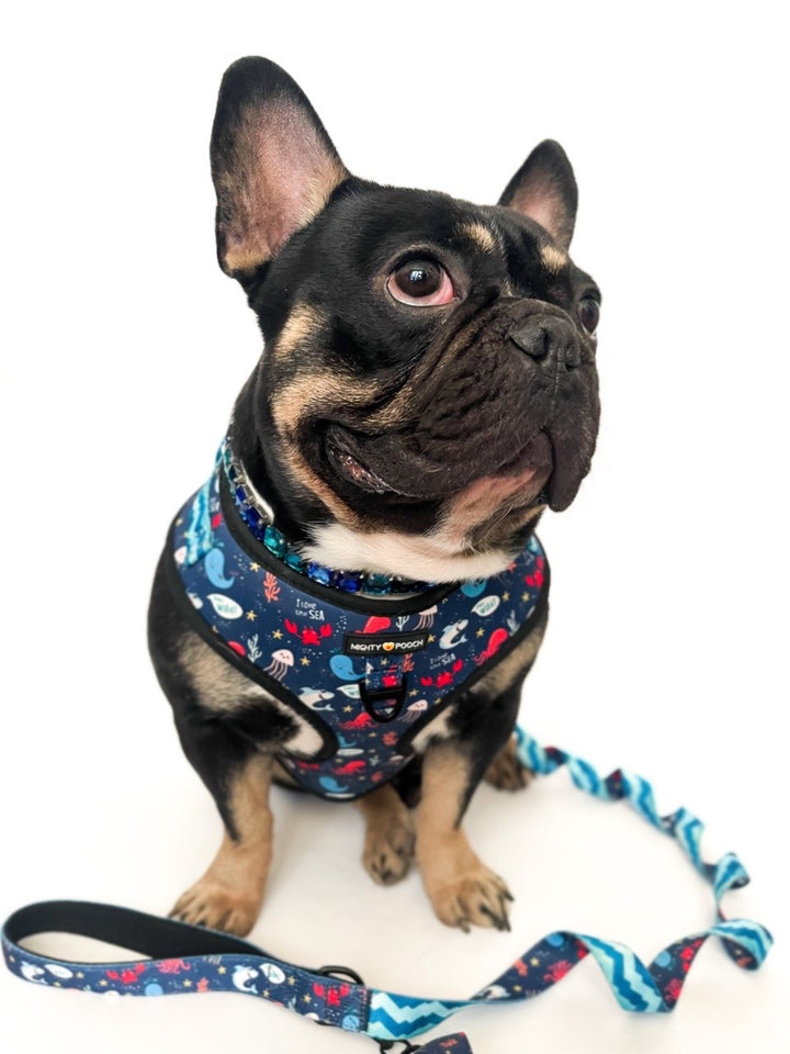 No-Pull Adjustable Harness - Under the Sea 🦀