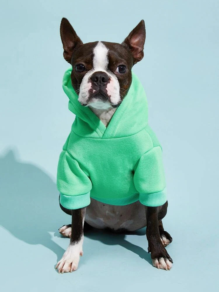 Solid Colored Hoodie
